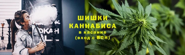 apvp Белокуриха