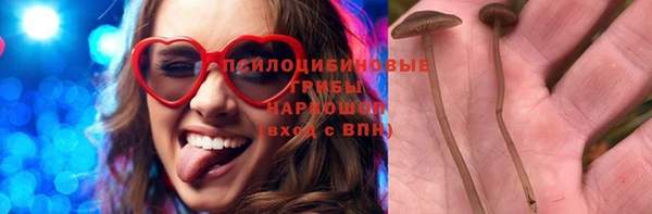 apvp Белокуриха
