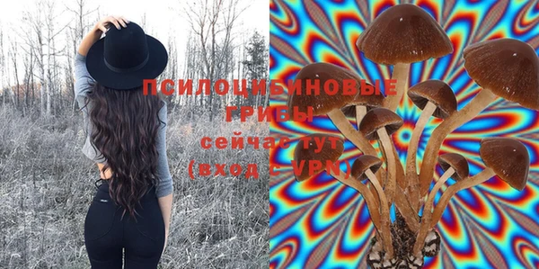 хмурый Балабаново