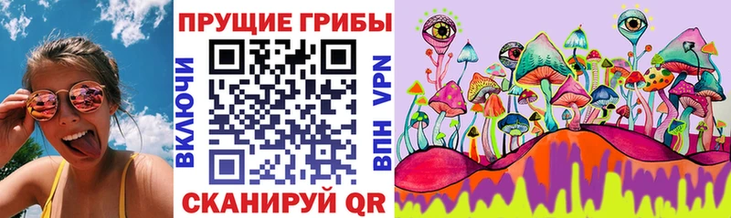 Галлюциногенные грибы Magic Shrooms  Нефтегорск 